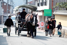 ひづめの音を響かせながら、鉱山町を歩く「アズール」＝朝来市生野町口銀谷
