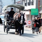ひづめの音を響かせながら、鉱山町を歩く「アズール」＝朝来市生野町口銀谷