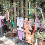 「旧日下旅館」前に飾られたササ。色鮮やかな紙衣が涼しげに風に揺れていた＝朝来市生野町口銀谷