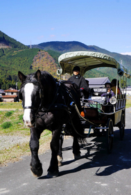 のどかな田園地帯を進む馬車＝神河町吉冨