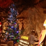 坑道内にお目見えしたクリスマスツリー。隣では銀山ボーイズが仮装＝生野銀山