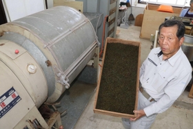 生野紅茶を加工する白瀧英雄さん＝朝来市生野町奥銀谷