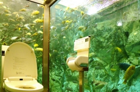 熱帯魚が周囲を泳ぐ「水族館トイレ」＝明石市松江、ヒポポパパ