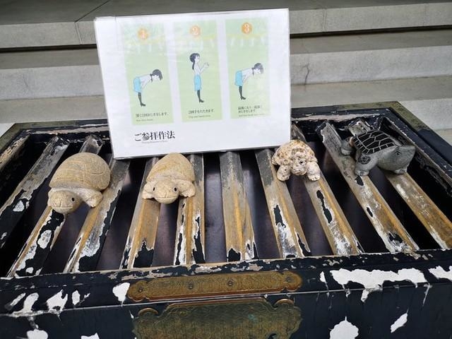 ZERO ⭐️様【2543】眠九尾乗せ龍亀  石不明 ZERO ⭐️様【2543】眠九尾乗せ龍亀 石不明