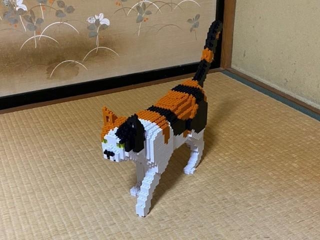 JEKCAブロック べた付く 猫 背伸ばし