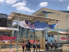 でかい！岡山から届いた鯉のぼり（提供）