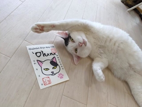 人気のゴマシオと、ゴマシオの御猫印（小木曽さん提供）