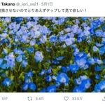 「絶対損させないのでとりあえずタップして見て欲しい！」と投稿した写真（Iori Takanoさん提供）