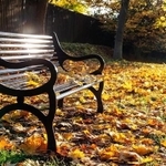 (Darren Baker/stock.adobe.com)