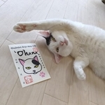人気のゴマシオと、ゴマシオの御猫印（小木曽さん提供）