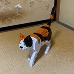 これが話題の「デジタルねこ」※藤原ハガネさん提供