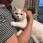パパ～と甘えるももちゃん