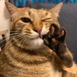 ワイルドなウインクをするシモンくん。キマっています