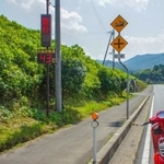 道路に設置された温度計。観測用の百葉箱等とは条件が違うので高く表示されがちだが、やはり43℃は猛暑