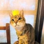 祝！20歳の時のQPくん。まだまだ元気でいるはずでした…