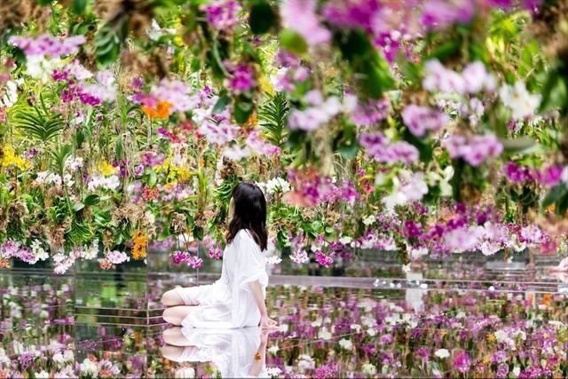鏡張りだから全方向ランの花で包まれる（チームラボ提供）
