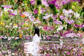 鏡張りだから全方向ランの花で包まれる（チームラボ提供）