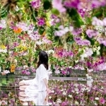 鏡張りだから全方向ランの花で包まれる（チームラボ提供）