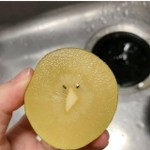 輪切りにしたキウイ。これを見た瞬間にひらめいたそう