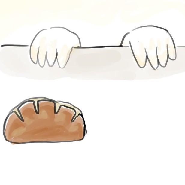 かわいすぎる見間違いにほっこり…（斗々窪さん提供）