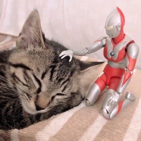 「時間が来ました　撫でたら行きますね」…ウルトラマンなら、そっと触れることも可能です