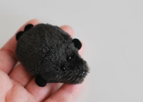 空想アパートメント スイカのたね ぬいぐるみ カネヒラ なにこの黒い物体？実は、スイカの「種」のぬいぐるみ！じわじわ迫る