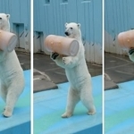 えっ、ほんとにクマですか？？人間入ってますよね？