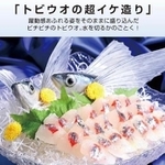 水泳を表現した「トビウオの超イケ造り」※株式会社いわさき提供