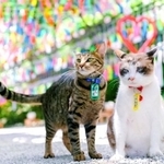 じん（左）、くう（右）。境内の風鈴トンネルにて