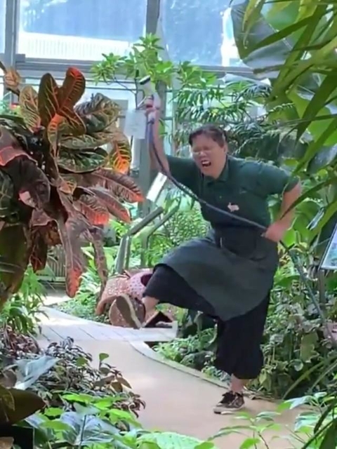 この身のこなしは…（渋谷区ふれあい植物センター提供）