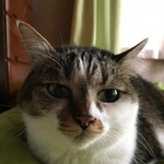 ふかふかのところが好き