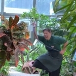 この身のこなしは…（渋谷区ふれあい植物センター提供）