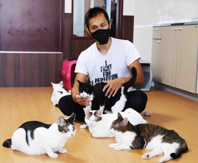 神戸新聞next 連載 特集 話題 亡き母が残した18匹の猫を育てるプロボクサーが猫とともに引っ越し 借金400万円背負って 猫家 完成