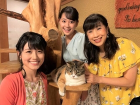 猫好きさんのための祭典「にゃんだらけ」ついに関西初上陸！猫に関する