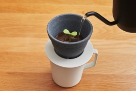 芽に水をやる感覚で育てよう（提供）