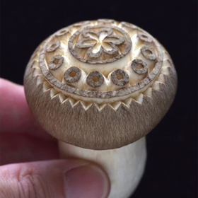 美しい模様が彫られたキノコの写真に驚嘆！「魔法かかってそう