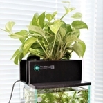 『せせらぎビオトープ』アクアリウムが簡単に楽しめる