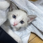 こんな目で見つめられたらたまらない