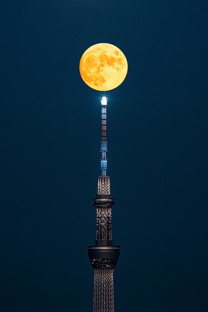 スカイツリー頂上に咲く満月（画像提供／7さん）