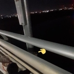 橋の欄干のコンクリート部分に捕まっていた子猫を保護しました（chamiさん提供）