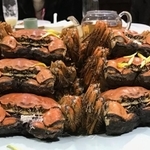 上海ガニの個人輸入は違法です（イメージ画像）