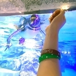 うおおおお！こっち見て！