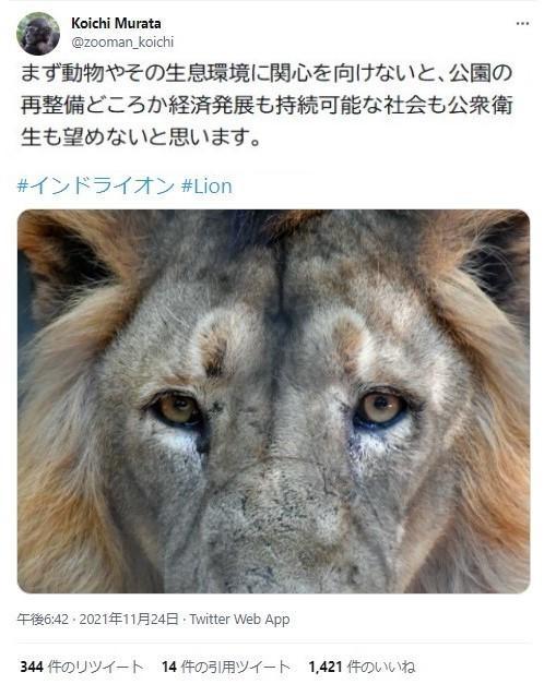 神戸新聞next 連載 特集 話題 動物園リニューアル含む再整備に 私の関心は動物ではなく 神戸市長ツイートが 炎上
