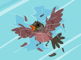 野鳥が窓ガラスに衝突、そのまま死んでしまったら…（BNP Design Studio/stock.adobe.com）