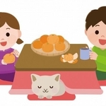 冬といえば、猫にこたつにみかんが風物詩だが…（こけ田/stock.adobe.com）