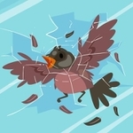 野鳥が窓ガラスに衝突、そのまま死んでしまったら…（BNP Design Studio/stock.adobe.com）