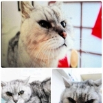 タマリンちゃんが築いた絆は今も…