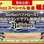 憧れのマウンドでプレ始球式ができる福袋（提供）