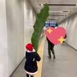 大きい葉っぱ、よかったね！