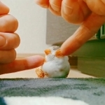 マッサージが気持ちよくてうっとりしちゃうきんちゃん（動画よりキャプチャ／提供：錦太朗の世話係さん）